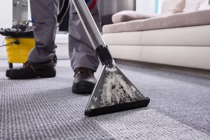 A technician using a steam cleaner to clean a residential carpet